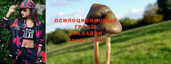соль ск Белоозёрский