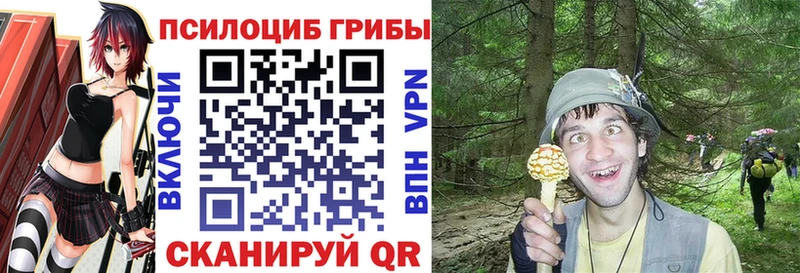 закладки Севск Псилоцибиновые грибы GOLDEN TEACHER